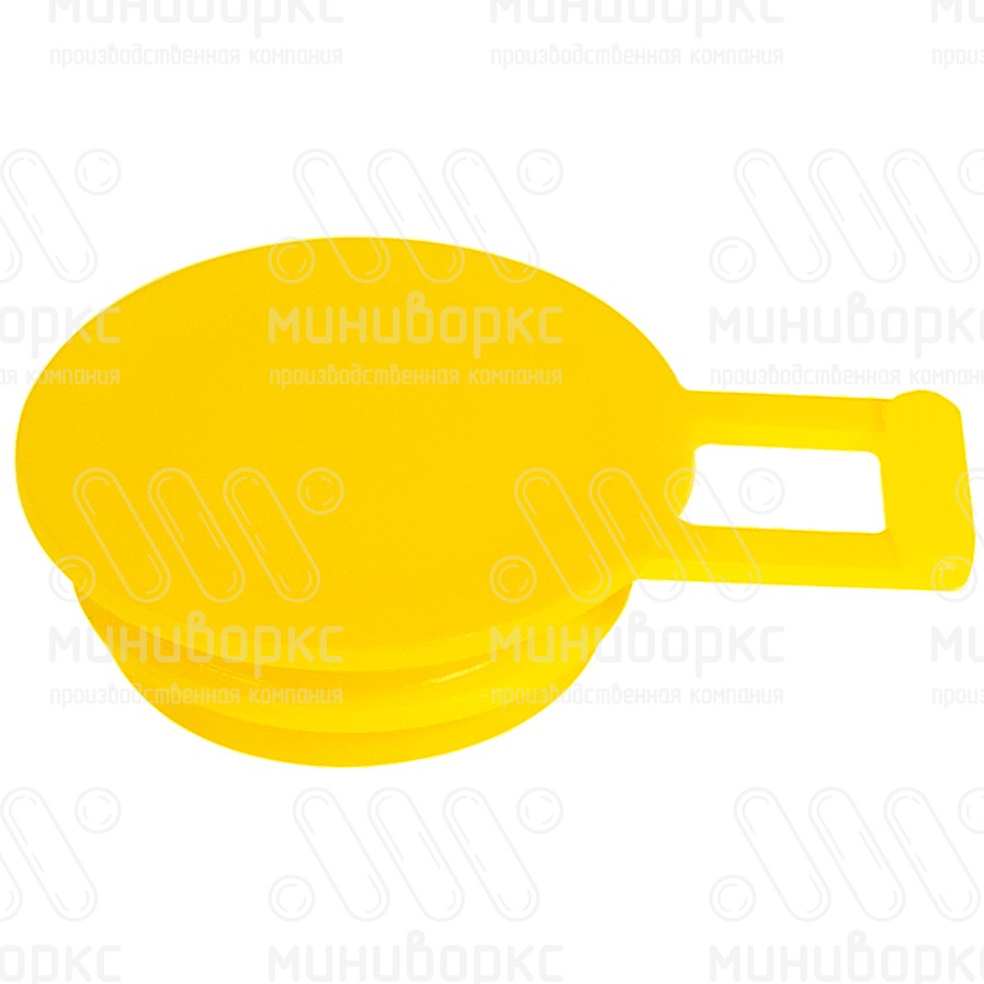 Заглушки для резьбовых отверстий m30×2 – TSFL2-30 | картинка 1