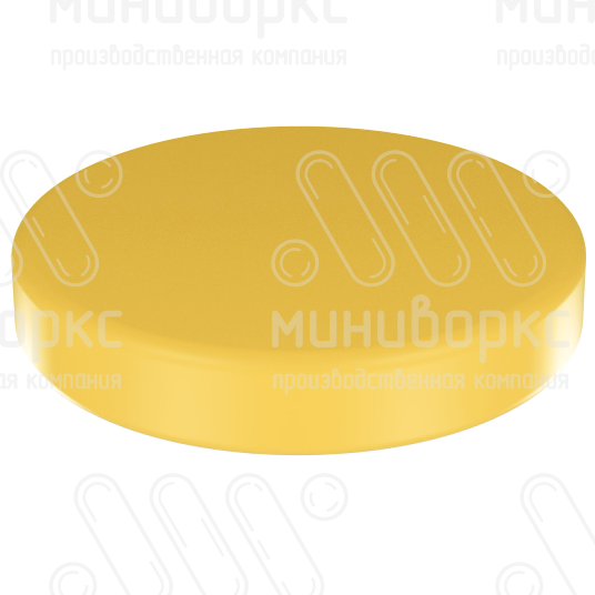 Заглушки фланцевых соединений ду 20 (3/4) – CAL20/6 | картинка 1